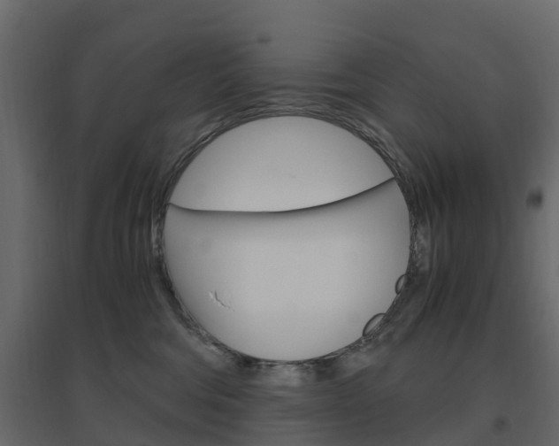 X0000096640330200802051003