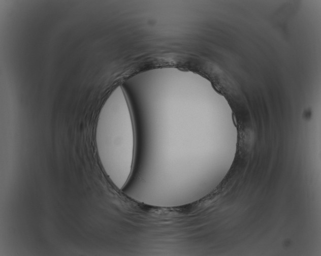X0000096640331200802051003