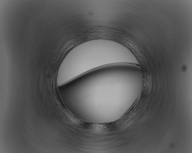 X0000096640333200802051003