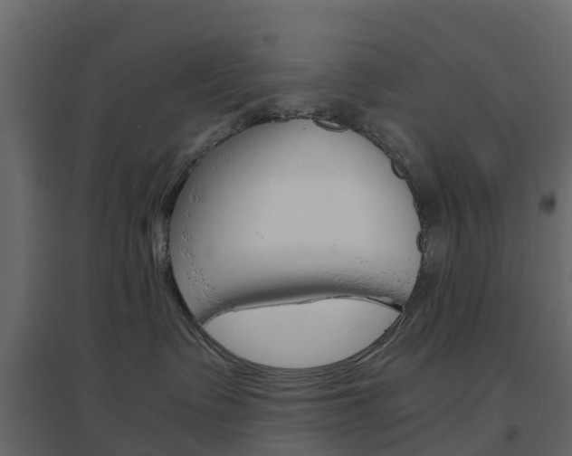 X0000096640335200802051003