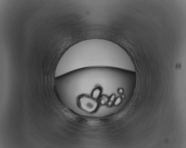 X0000096640336200802051003