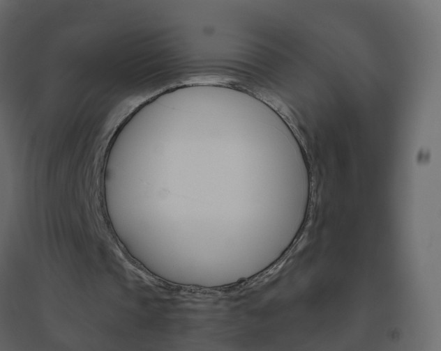 X0000096640337200802051002