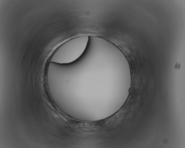 X0000096640338200802051002