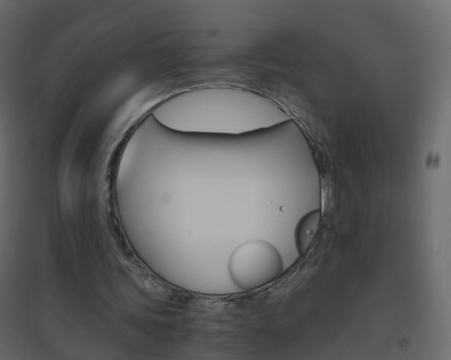 X0000096640339200802051002