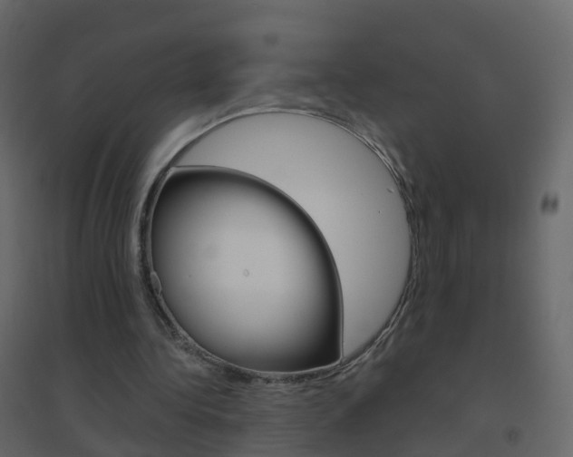 X0000096640340200802051002