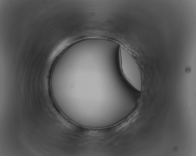 X0000096640341200802051002