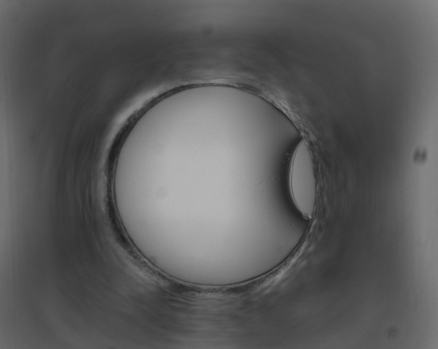 X0000096640342200802051002