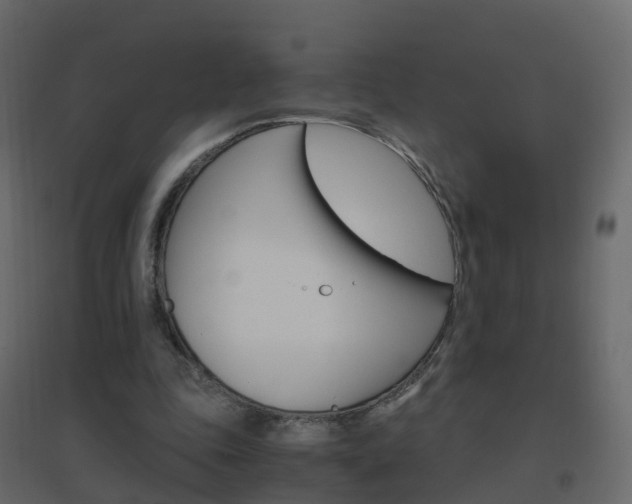 X0000096640343200802051002