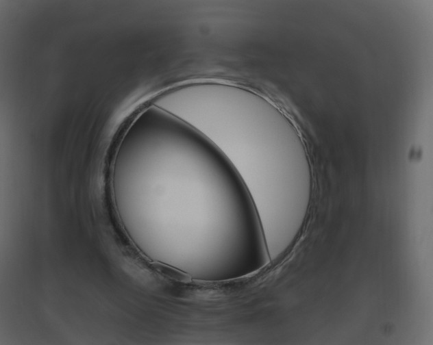 X0000096640344200802051002