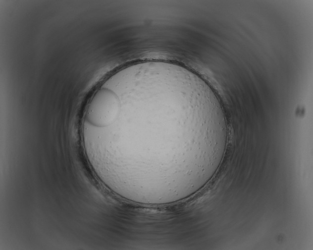 X0000096640347200802051002