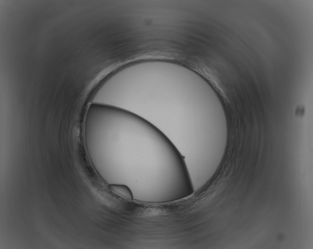 X0000096640348200802051002