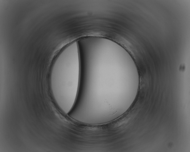 X0000096640349200802051003