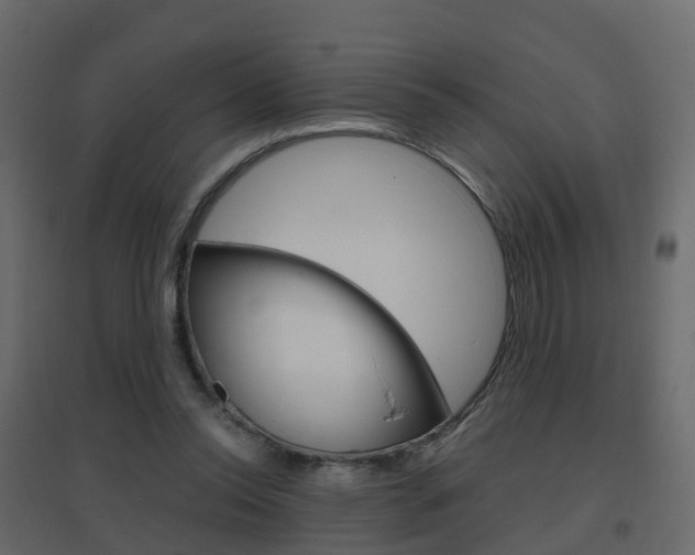 X0000096640350200802051003