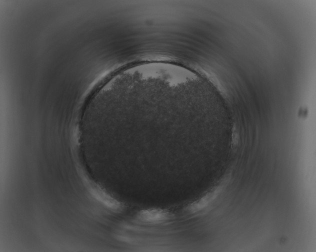 X0000096640351200802051003