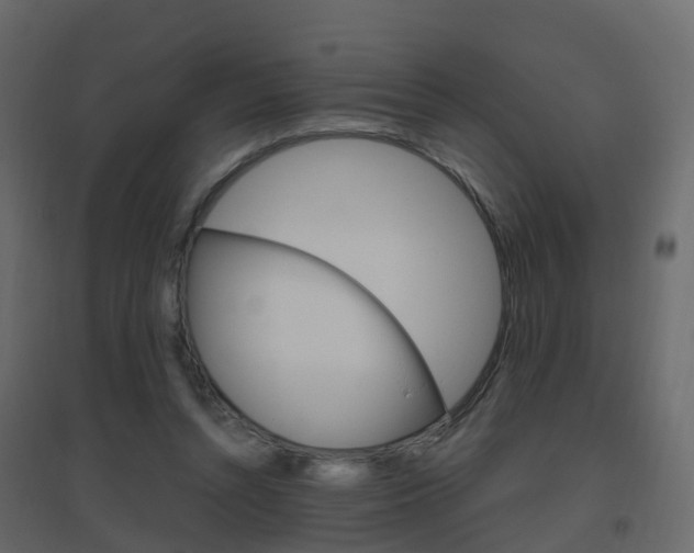 X0000096640352200802051003