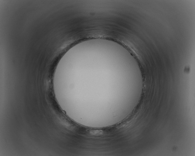 X0000096640355200802051003
