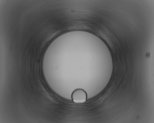 X0000096640356200802051003