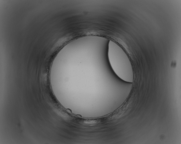 X0000096640357200802051003