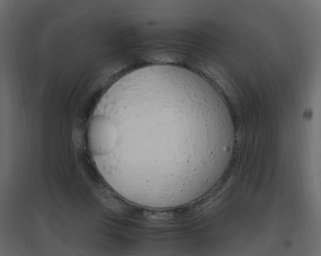 X0000096640359200802051003
