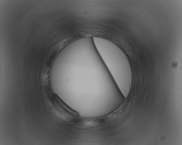 X0000096640360200802051003