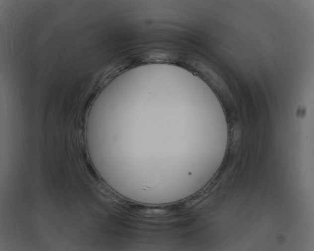 X0000096640361200802051003