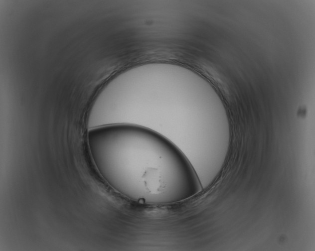 X0000096640362200802051003