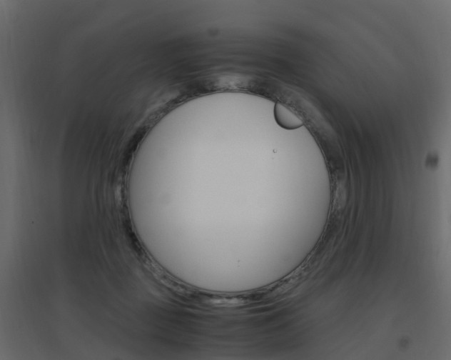X0000096640363200802051003