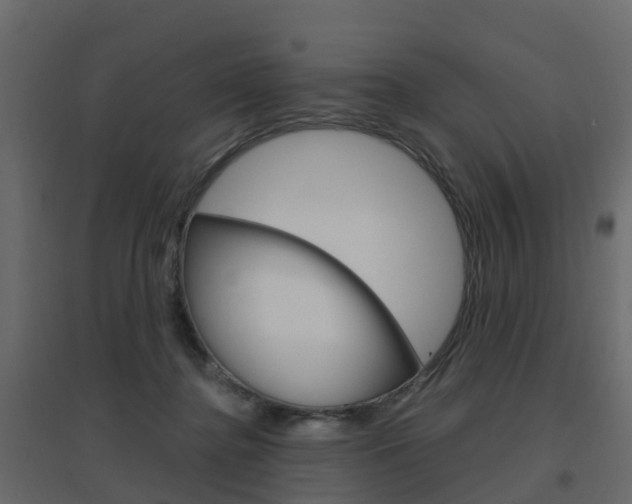 X0000096640364200802051003