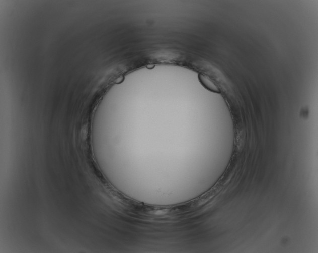 X0000096640365200802051003
