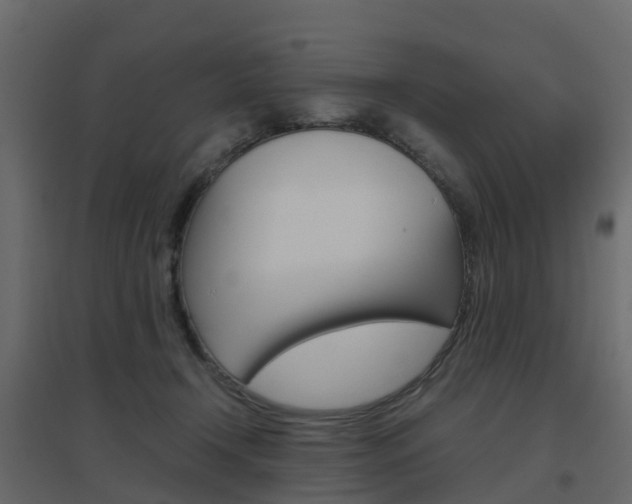 X0000096640366200802051003