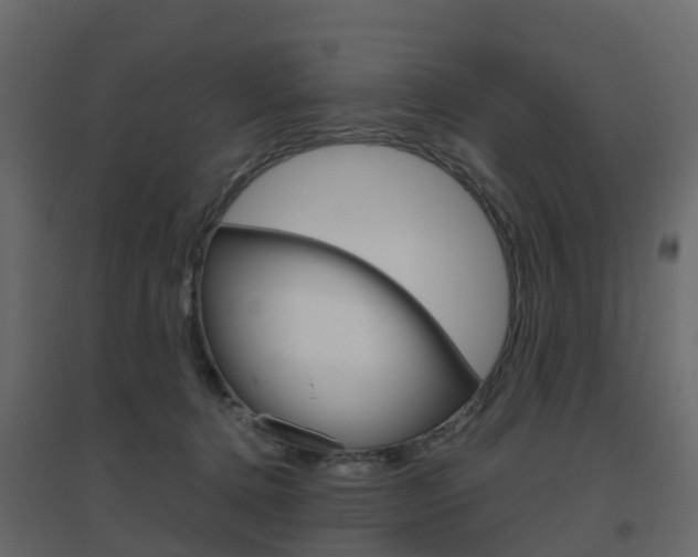 X0000096640368200802051003