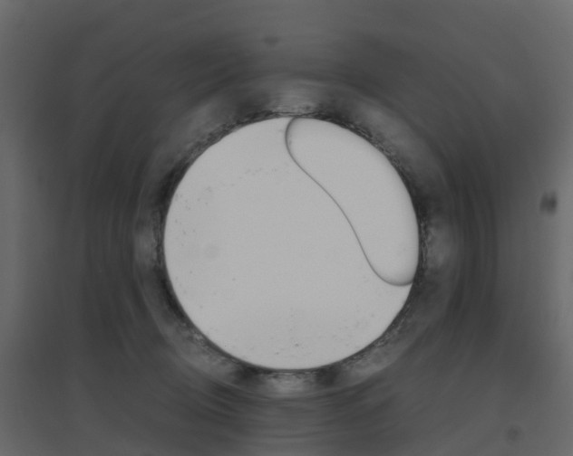 X0000096640370200802051003