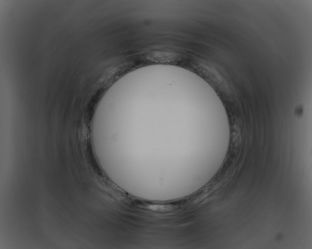 X0000096640371200802051003