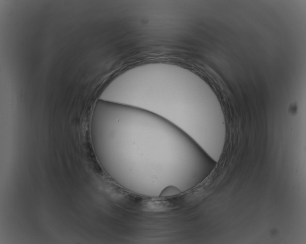 X0000096640372200802051003