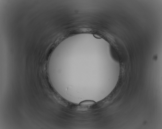 X0000096640373200802051003