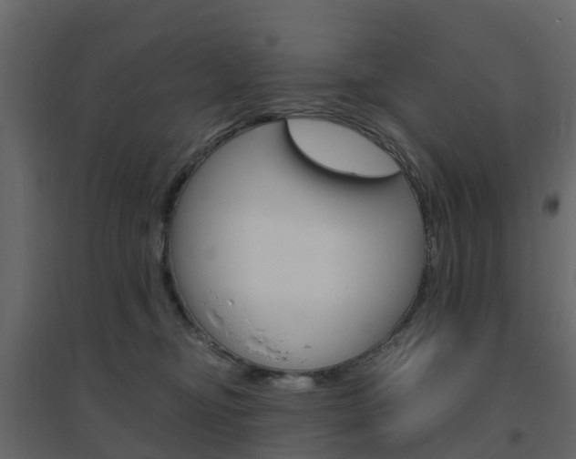 X0000096640374200802051003