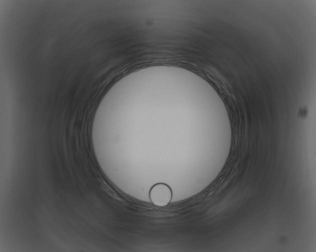 X0000096640376200802051003