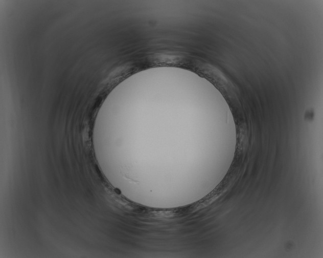 X0000096640377200802051003