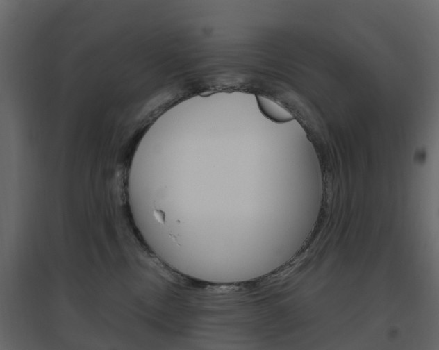 X0000096640378200802051003