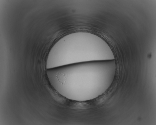 X0000096640379200802051003