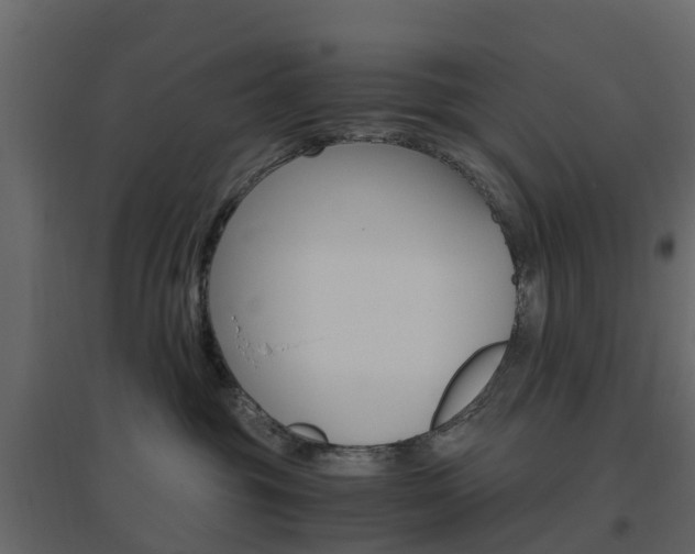 X0000096640381200802051003