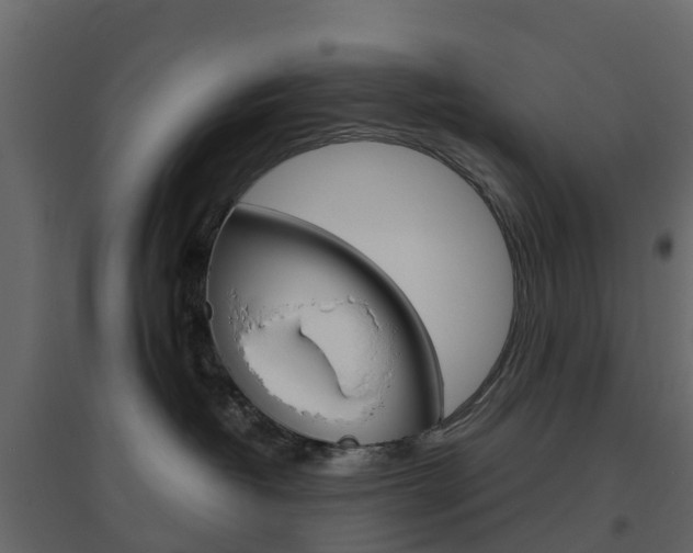X0000096640382200802051003