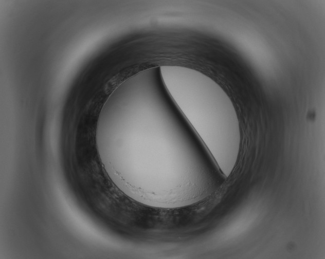 X0000096640383200802051003