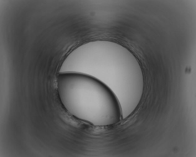 X0000096640384200802051003
