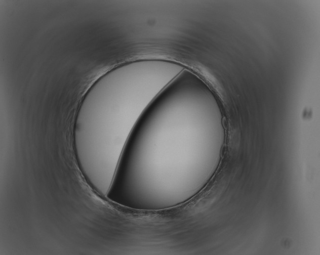 X0000096640385200802051002