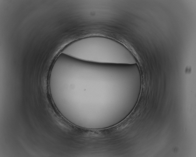 X0000096640386200802051002