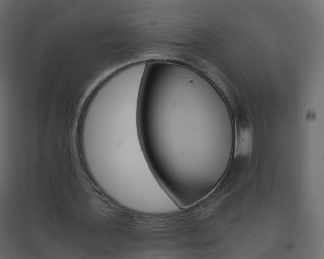 X0000096640387200802051002