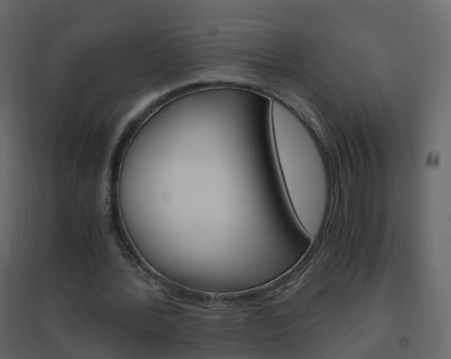 X0000096640388200802051002