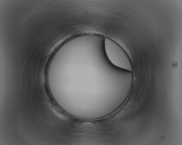 X0000096640390200802051002