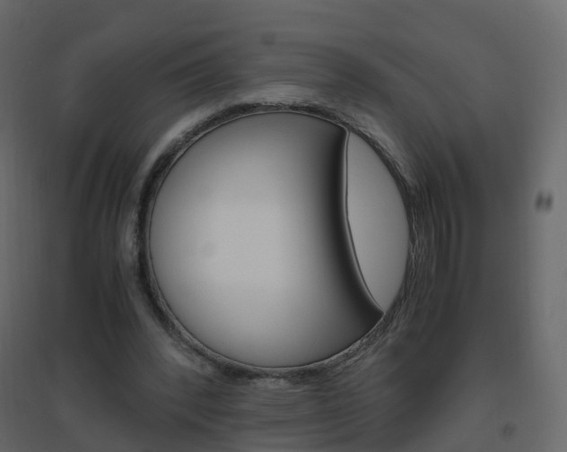 X0000096640392200802051002